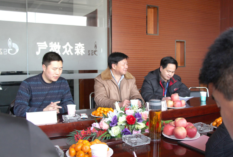 林口县政府与开云官方端网站登录入口-开云(中国)燃气项目洽谈.png